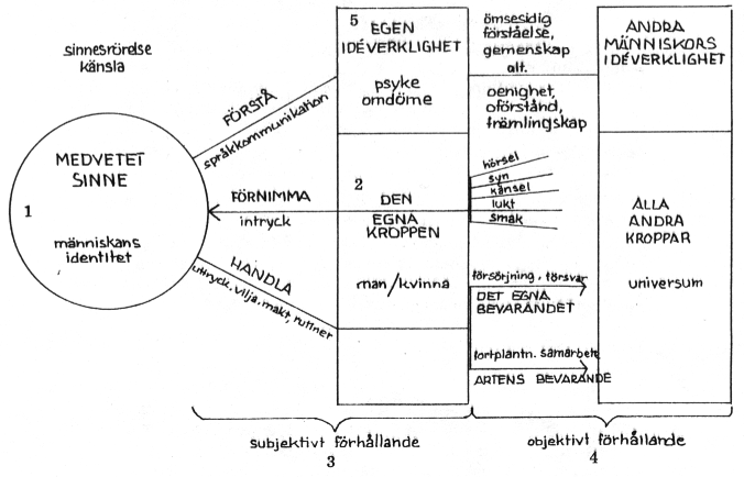 Människan Schematisk bild över människan
och förhållandena till andra saker
