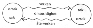 Schematisk bild
       över dualistisk verkan-återverkan